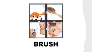 BRUSH
 