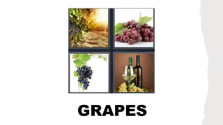GRAPES
 