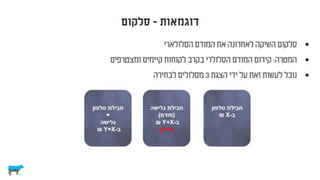 לא רציונלי ולא במקרה
