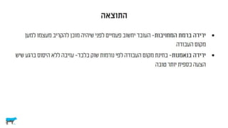 לא רציונלי ולא במקרה