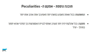 לא רציונלי ולא במקרה