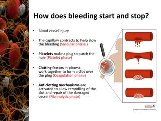 Rational approach to evaluate a bleeding patient 2014 | PDF