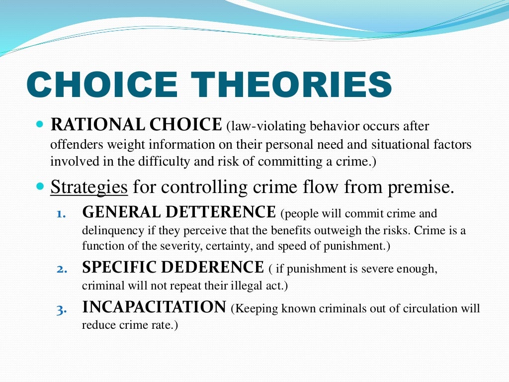 rational choice theory criminology essays