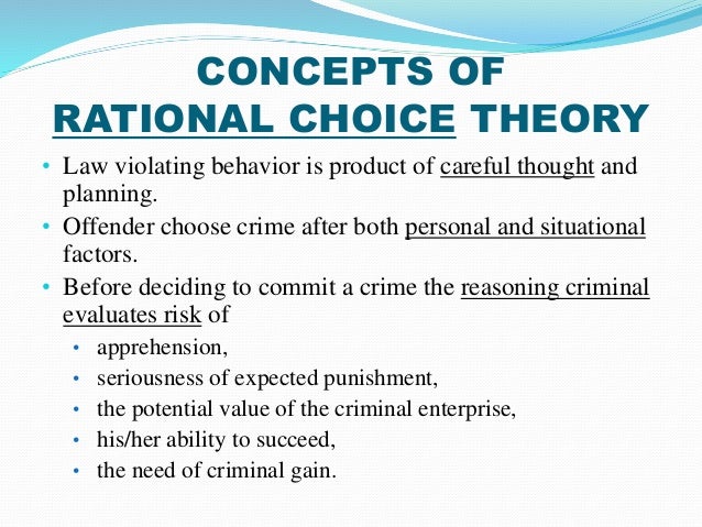 rational choice theory criminology essays