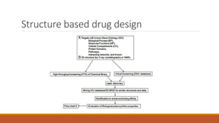 Rational drug design | PPTX