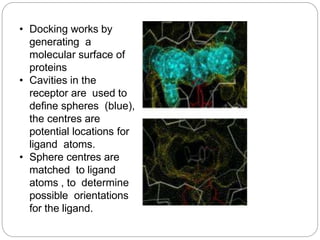 • Docking works by
generating a
molecular surface of
proteins
• Cavities in the
receptor are used to
define spheres (blue),
the centres are
potential locations for
ligand atoms.
• Sphere centres are
matched to ligand
atoms , to determine
possible orientations
for the ligand.
 