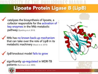 Lipoate Protein Ligase B (LipB) 
catalyzes the biosynthesis of lipoate, a 
cofactor responsible for the activation of 
key...