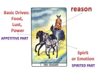 Rationalist perspective on human nature