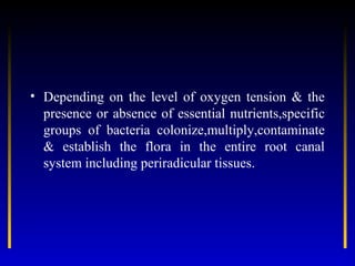 • Depending on the level of oxygen tension & the
  presence or absence of essential nutrients,specific
  groups of bacteri...