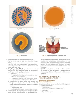 61
RationaleofEndodonticTreatment
Fig. 5.6: Eosinophil
Fig. 5.7: Macrophage
• Provide antigen to the immunocomplement cells
• They act as scavenger of dead cells, tissues and foreign
bodies
• They fuse with other macrophages to produce multi-
nucleated giant cells like osteoclasts, dentinoclasts and
foreign body giant cells.
3. Lymphocytes (Fig. 5.8): They are the most numerous
cells (20-45%) after neutrophils. There are two types of
lymphocytes seen in apical periodontitis:
a. T-lymphocytes
– T-helper cells (Th): They are present in the acute
phase of lesion expansion.
– T-suppressor cells (Ts): They predominate in later
stages preventing rapid expansion of the lesion.
b. B-lymphocytes – On getting signals from antigens and
T-helper cells, they transform into plasma cells and
secrete antibodies. Their number increases in following
conditions:
– hypersensitivity state
– prolonged infection with immunological response.
4. Osteoclasts: In the physiologic state, the preosteoclasts
remain dormant as monocytes in the periradicular bone.
Fig. 5.8: Lymphocyte
Fig. 5.9: Inflammatory response to periapical lesion
In case of apical periodontitis, they proliferate and fuse on
stimulation by cytokines and other mediators to form
osteoclasts. These osteoclasts are responsible for deminerali-
zation of the bone and enzymatic dissolution of organic
matrix at the osteoclast-bone interface. This results in bone
resorption.
5. Epithelial cells: Cytokines and other mediators stimulate
the dormant cell rests of malassez. These cells undergo
division and proliferation which results in inflammatory
hyperplasia.
INFLAMMATORY RESPONSE TO
PERIAPICAL LESION (FIG. 5.9)
Nonspecific Mediators of
Periradicular Lesions
Nonspecific mediators can be classified into following types:
1. Cell derived mediators:
– Neuropeptides
– Eicosanoids/arachidonic acid derivatives
– Cytokines
– Lysosomal enzymes
 