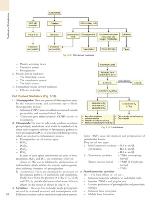 TextbookofEndodontics
Fig. 5.10: Cell derived mediators
– Platelet activating factor
– Vasoactive amines
– Prostaglandins
2. Plasma derived mediators
– The fibrinolytic system
– The complement system
– The kinin system
3. Extracellular matrix derived mediators
– Effector molecules
Cell Derived Mediators (Fig. 5.10)
1 . Neuropeptides: These are generated following tissue injury
by the somatosensory and autonomic nerve fibers.
Neuropeptides include:
– Substance P (SP): Causes vasodilation, increased vascular
permeability and increased blood flow.
– Calcitonin-gene related peptide (CGRP): results in
vasodilation.
2. Eicosanoids: The injury to cells results in release membrane
phospholipid, arachidonic acid which is metabolized by
either cyclooxygenase pathway or lipoxygenase pathway to
form prostaglandins (PGs) or leukotrienes (LTs) respectively,
which are involved in inflammatory process.
a. Prostaglandins are of various types:
– PGE2,
– PGD2,
– PGF2a,
– PGI2
In cases of acute apical periodontitis and areas of bone
resorption, PGE2 and PGI2 are commonly observed.
Action of PGs can be inhibited by administration of
indomethacin which inhibits the enzyme cyclooxygenase
thus inhibiting formation of prostaglandins.
b. Leukotrienes: These are produced by activation of
lipoxygenase pathway of arachidonic acid metabolism.
Studies have shown the presence of LTB4, LTC4, LTD4
and LTE4 in periradicular lesions which cause different
effects on the tissues as shown in (Fig. 5.11).
3. Cytokines – These are low molecular weight polypeptides
secreted by activated structural and hematopoietic cells.
62 Different cytokines such as interleukins and tumor necrosis
Fig. 5.11: Leukotrienes
factor (TNF) cause development and perpetuation of
periradicular lesions.
They are of two types:
a. Proinflammatory cytokines – IL1 α and β,
(Interleukins) – IL6 α and β,
– IL8 α and β.
b. Chemotactic cytokines – TNFα (macrophage
derived)
(Tumor necrosis factor) – TNFβ (T-lymphocyte
derived)
– TNFγ.
a. Proinflammatory cytokines
IL1 – The local effects of IL1 are –
– Enhanced leukocyte adhesion to endothelial walls.
– Stimulate PMNLs and lymphocytes.
– Activates production of prostaglandins and proteolytic
enzymes.
– Enhances bone resorption.
– Inhibits bone formation.
 