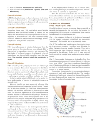 65
RationaleofEndodonticTreatment
c. Zone of irritation (Histiocytes and osteoclasts)
d. Zone of stimulation (Fibroblasts, capillary buds and
Osteoblasts).
Zone of Infection
In FISH study, infection was confined to the center of the lesion.
This zone is characterized by polymorphonuclear leukocytes
and microorganisms along with the necrotic cells and detructive
components released from phagocytes.
Zone of Contamination
Around the central zone, FISH observed the area of cellular
destruction. This zone was not invaded by bacteria, but the
destruction was from toxins discharged from the micro-
organisms in the central zone. This zone is characterized by
round cell infiltration, osteocyte necrosis and empty lacunae.
Lymphocytes were prevalent everywhere.
Zone of Irritation
FISH observed evidence of irritation further away from the
central lesion as the toxins became more diluted. This is
characterized by macrophages, histocytes and osteoclasts. The
degradation of collagen framework by phagocytic cells and
macrophages was observed while osteoclasts attack the bone
tissue. The histologic picture is much like preparatory to
repair.
Zone of Stimulation
FISH noted that, at the periphery, the toxin was mild enough
to act as stimulant. This zone is characterized by fibroblasts
and osteoblasts. In response to this stimulatory irritant,
fibroblasts result in secretion of collagen fibers, which acted
both as wall of defense around the zone of irritation and as
a scaffolding on which the osteoblasts synthesize new bone.
So the knowledge gained in FISH study can be applied for
better understanding of reaction of periradicular tissues to a
nonvital tooth.
The root canal is the main source of infection. The
microorganisms present in root canal are rarely motile. Though
they do not move from the root canal to the periapical tissues;
but they can proliferate sufficiently to grow out of the root
canal. The metabolic byproducts of these microorganisms or
the toxic products of tissue necrosis may also get diffused to
the periradicular tissues. As the microorganisms enter in the
periradicular area, they are destroyed by the polymorphonuclear
leukocytes. But if microorganisms are highly virulent, they
overpower the defensive mechanism and result in development
of periradicular lesion.
The toxic byproducts of the microorganisms and the
necrotic pulp in the root canal are irritating and destructive
to the periradicular tissues. These irritants along with proteolytic
enzymes (released by the dead polymorphonuclear leukocytes)
result in the formation of pus. This results in development of
chronic abscess.
At the periphery of the destroyed area of osseous tissue,
toxic bacterial products get diluted sufficiently to act as stimulant.
This results in formation of a granuloma.
After this fibroblasts come in the play and build fibrous
tissue and osteoblasts restrict the area by formation of sclerotic
bone. Along with these if epithelial rests of Malassez are also
stimulated, it results in formation of a cyst.
KRONFELD’S MOUNTAIN
PASS THEORY (FIG. 5.15)
Kronfeld explained that the granuloma does not provide a
favorable environment for the survival of the bacteria. He
employed the FISH concept so as to explain the tissue reaction
in and around the granulomatous area.
Zone A: He compared the bacteria in the infected root canal
with the invaders entrenched behind high and inaccessible
“mountains”, the foramina serving as mountain passes.
Zone B: The exudative and granulomatous (proliferative) tissue
of the granuloma represents a mobilized army defending the
plains (periapex) from the invaders (bacteria). When a few
invaders enter the plain through the mountain pass, they are
destroyed by the defenders (leukocytes). A mass attack of
invaders results in a major battle, analogous to acute inflam-
mation.
Zone C: Only complete elimination of the invaders from their
mountainous entrenchment will eliminate the need for a defense
forces in the “plains”. Once this is accomplished, the defending
army of leukocytes withdraws, the local destruction created by
the battle is repaired (granulation tissue) and the environment
returns to its normal pattern.
This explains the rationale for the non-surgical endodontic
treatment for teeth with periapical infection. The complete
elimination of pathogenic irritants from the canal followed by
the three-dimensional fluid impervious obturation will result
in complete healing of periapical area.
Fig. 5.15: Kronfeld’s mountain pass theory
 