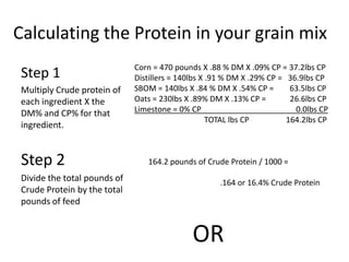 Calculating the Protein in your grain mix
                              Corn = 470 pounds X .88 % DM X .09% CP = 37.2lbs CP
 Step 1                       Distillers = 140lbs X .91 % DM X .29% CP = 36.9lbs CP
 Multiply Crude protein of    SBOM = 140lbs X .84 % DM X .54% CP =        63.5lbs CP
 each ingredient X the        Oats = 230lbs X .89% DM X .13% CP =         26.6lbs CP
 DM% and CP% for that         Limestone = 0% CP                            0.0lbs CP
                                                    TOTAL lbs CP         164.2lbs CP
 ingredient.


 Step 2                          164.2 pounds of Crude Protein / 1000 =
 Divide the total pounds of                          .164 or 16.4% Crude Protein
 Crude Protein by the total
 pounds of feed


                                              OR
 