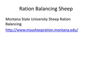 Ration Balancing Sheep
Montana State University Sheep Ration
Balancing
http://www.msusheepration.montana.edu/
 