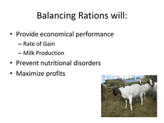 Ration balancing