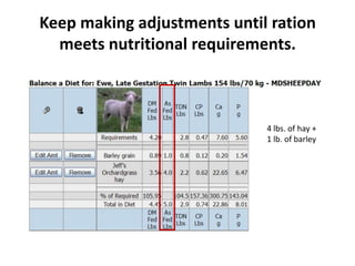 Keep making adjustments until ration
meets nutritional requirements.

4 lbs. of hay +
1 lb. of barley

 