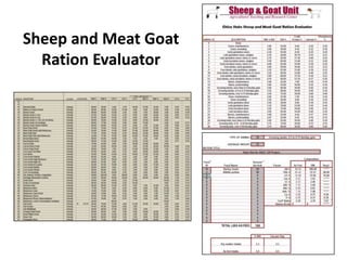 Sheep and Meat Goat
Ration Evaluator

 