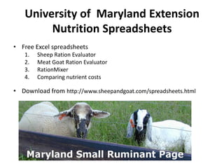 University of Maryland Extension
Nutrition Spreadsheets
• Free Excel spreadsheets
1.
2.
3.
4.

Sheep Ration Evaluator
Meat Goat Ration Evaluator
RationMixer
Comparing nutrient costs

• Download from http://www.sheepandgoat.com/spreadsheets.html

 