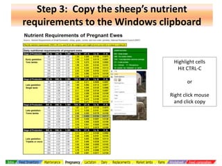 Step 3: Copy the sheep’s nutrient
requirements to the Windows clipboard

Highlight cells
Hit CTRL-C
or

Right click mouse
and click copy

 