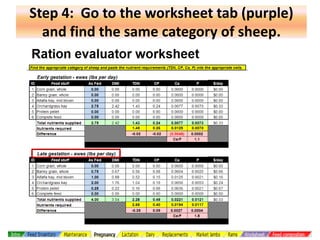 Step 4: Go to the worksheet tab (purple)
and find the same category of sheep.

 