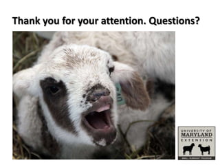 Thank you for your attention. Questions?
http://www.slideshare.net/schoenian/ration-balancing-software-for-sheep

 