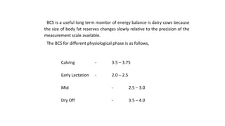 BCS is a useful long term monitor of energy balance is dairy cows because
the size of body fat reserves changes slowly relative to the precision of the
measurement scale available.
The BCS for different physiological phase is as follows,
Calving - 3.5 – 3.75
Early Lactation - 2.0 – 2.5
Mid - 2.5 – 3.0
Dry Off - 3.5 – 4.0
 