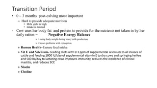 Transition Period
• 0 – 3 months post-calving most important
– Hard to provide adequate nutrition
• Milk yield is high
• Intake is limited
- Cow uses her body fat and protein to provide for the nutrients not taken in by her
daily ration = Negative Energy Balance
» Losing body weight during heavy milk production
» Causes problems with conception
» Rumen Health- Ensure feed intake
» Vit E and Selenium- Feeding diets with 0.3 ppm of supplemental selenium to all classes of
cattle and feeding 1000 IU/day of supplemental vitamin E to dry cows and springing heifers
and 500 IU/day to lactating cows improves immunity, reduces the incidence of clinical
mastitis, and reduces SCC
» Niacin
» Choline
 