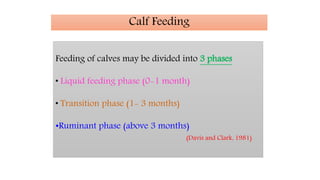 Feeding of calves may be divided into 3 phases
• Liquid feeding phase (0-1 month)
• Transition phase (1- 3 months)
•Ruminant phase (above 3 months)
(Davis and Clark, 1981)
Calf Feeding
 