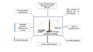 Poor growth and
reproduction
Low milk production
Shorter lactation length
and longer calving
intervals
Metabolic
disorders
milk fever and
ketosis
Slow growth &
delayed age at
first calving
Shorter
productive life
Carbon foot print
Lower profit to farmers
Inadequate feeding
 