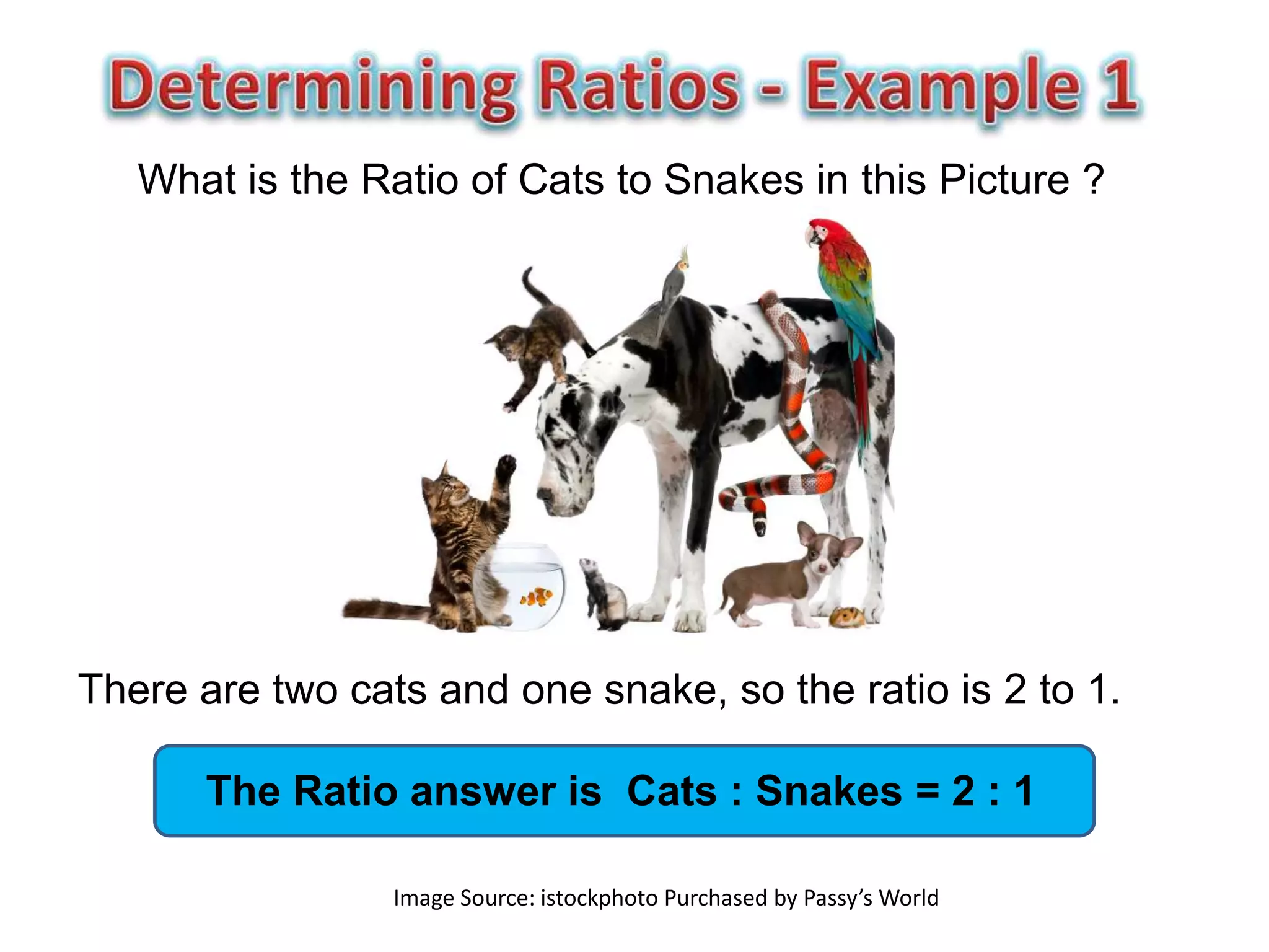 What is the Ratio of Cats to Snakes in this Picture ?




There are two cats and one snake, so the ratio is 2 to 1.

       The Ratio answer is Cats : Snakes = 2 : 1

                 Image Source: istockphoto Purchased by Passy’s World
 