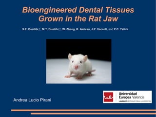 Bioengineered Dental Tissues
Grown in the Rat Jaw
S.E. Duailibi,†, M.T. Duailibi,†, W. Zhang, R. Asrican, J.P. Vacanti, and P.C. Yelick

Andrea Lucio Pirani

 