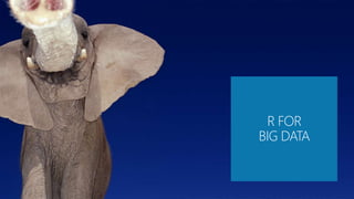 R FOR
BIG DATA
 