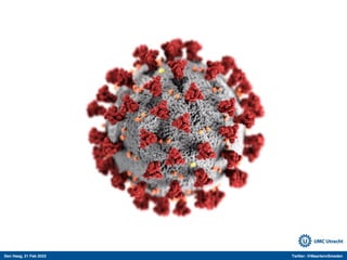 Den Haag, 21 Feb 2022 Twitter: @MaartenvSmeden
 