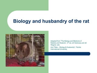ratmodulenewreadytoload.ppt