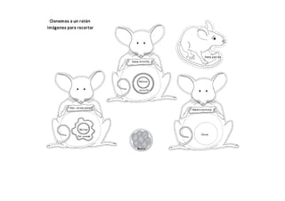 Guía Clonación de una Rata 2: Ratas y placas pètri