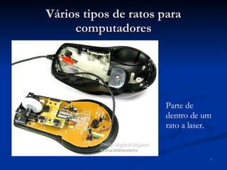 Vários tipos de ratos para computadores Parte de dentro de um rato a laser. 4 