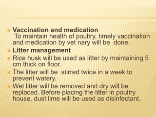  Vaccination and medication
   To maintain health of poultry, timely vaccination
  and medication by vet nary will be done.
 Litter management
 Rice husk will be used as litter by maintaining 5
  cm thick on floor.
 The litter will be stirred twice in a week to
  prevent watery.
 Wet litter will be removed and dry will be
  replaced. Before placing the litter in poultry
  house, dust lime will be used as disinfectant.
 