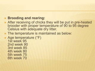    Brooding and rearing:
   After receiving of chicks they will be put in pre-heated
    brooder with proper temperature of 90 to 95 degree
    Celsius with adequate dry litter.
   The temperature is maintained as below:
   Age temperature (°F)
    1st week 95
    2nd week 90
    3rd week 85
    4th week 80
    5th week 75
    6th week 70
 