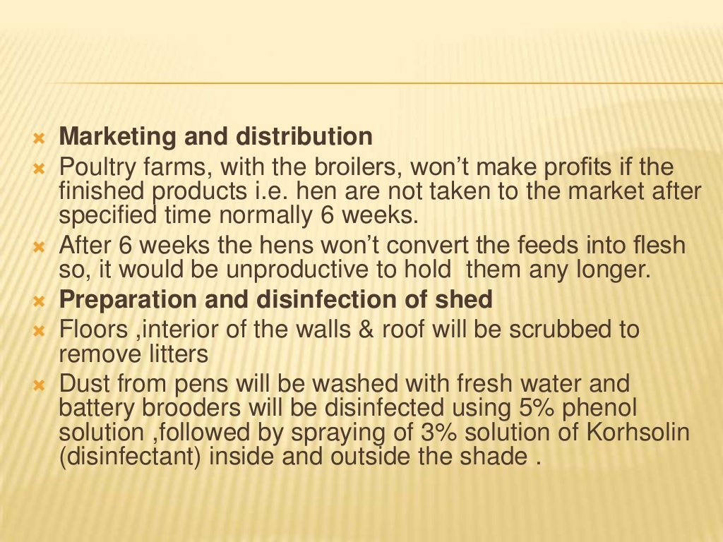 Business Plan for poultry farm