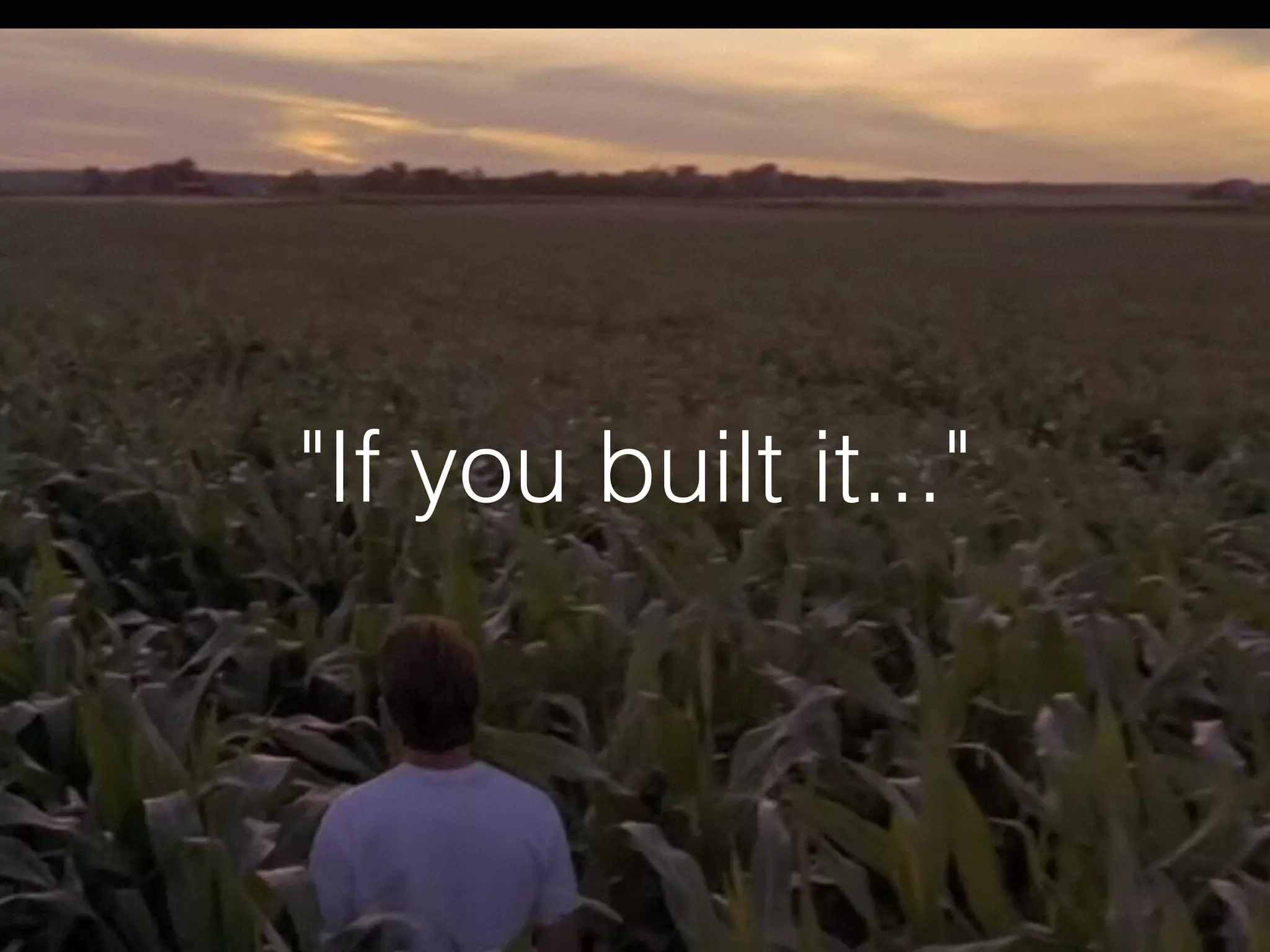 "If you built it..."
 