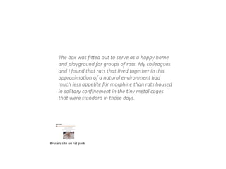 The box was fitted out to serve as a happy home
and playground for groups of rats. My colleagues
and I found that rats that lived together in this
approximation of a natural environment had
much less appetite for morphine than rats housed
in solitary confinement in the tiny metal cages
that were standard in those days.
Bruce’s site on rat park
 