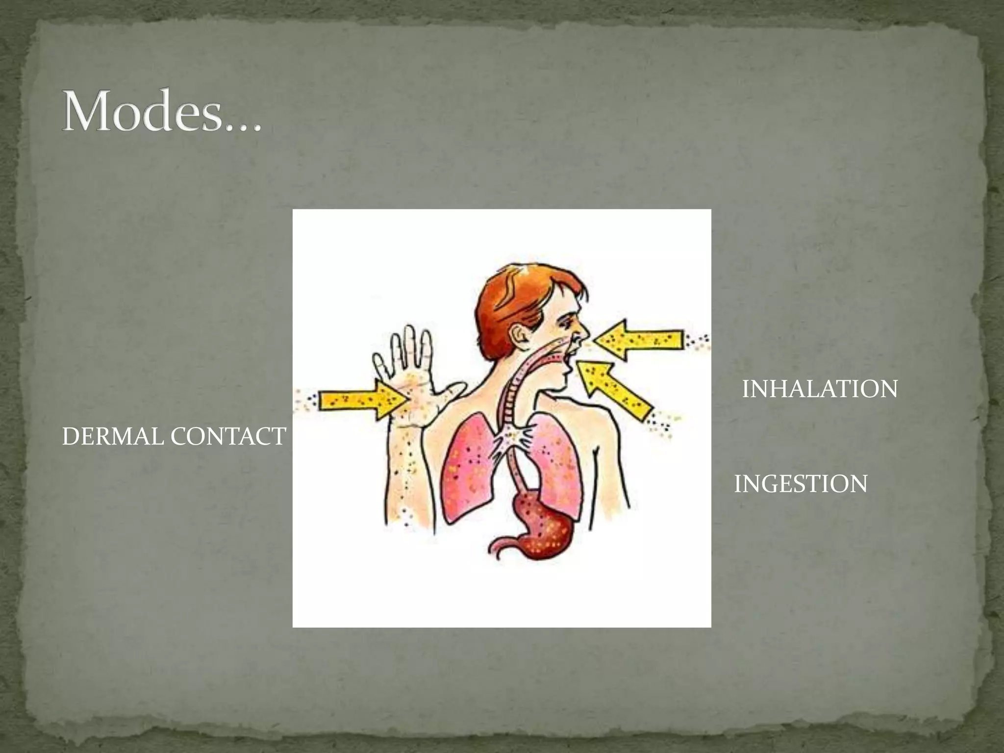 INGESTION
INHALATION
DERMAL CONTACT
 