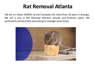 Rat Removal Atlanta
We are an Urban Wildlife Control Company for more than 18 years in Georgia.
We are a star in Rat Removal Atlanta's private and business space. We
particularly orchestrated amounting to manages your home.
 