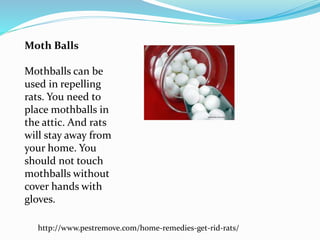 Home remedies to get rid of rats PPTX