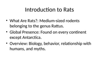 Powerpoint Rats Rats_Adaptable_Survivors_presentation.pptx