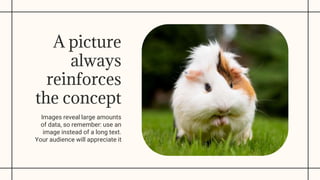 Powerpoint Rats Slides ppt rats, mouse, rodents, animal. | PPTX