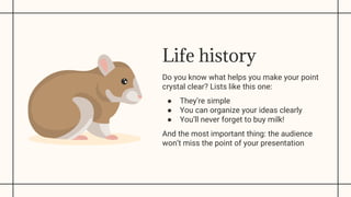Powerpoint Rats Slides ppt rats, mouse, rodents, animal. | PPTX