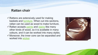Rattan chair
 Rattans are extensively used for making
baskets and furniture. When cut into sections,
rattan can be used as wood to make furniture.
 Rattan accepts paints and stains like many
other kinds of wood, so it is available in many
colours, and it can be worked into many styles.
 Moreover, the inner core can be separated and
worked into wicker.
 