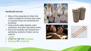 Handicraft and arts
 Many of the properties of rattan that
make it suitable for furniture also make
it a popular choice for handicraft and
art pieces.
 Uses include rattan baskets, plant
containers, and other decorative works.
 Due to its durability and resistance to
splintering, sections of rattan can be
used as
o canes,
o crooks for high-end umbrellas,
o or staves for martial arts.
 