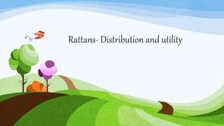 Rattans- Distribution and utility
 